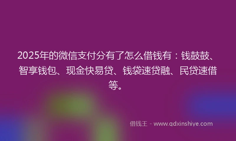 2025年的微信支付分有了怎么借钱有：钱鼓鼓、智享钱包、现金快易贷、钱袋速贷融、民贷速借等。