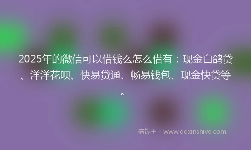 2025年的微信可以借钱么怎么借有：现金白鸽贷、洋洋花呗、快易贷通、畅易钱包、现金快贷等。