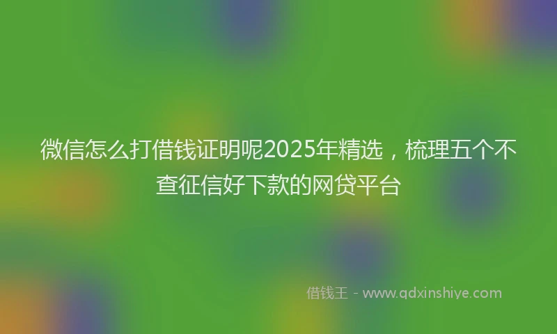 微信怎么打借钱证明呢2025年精选，梳理五个不查征信好下款的网贷平台