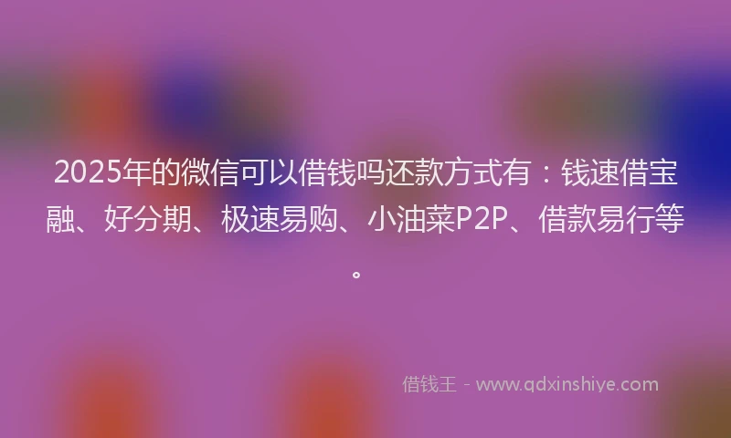 2025年的微信可以借钱吗还款方式有：钱速借宝融、好分期、极速易购、小油菜P2P、借款易行等。