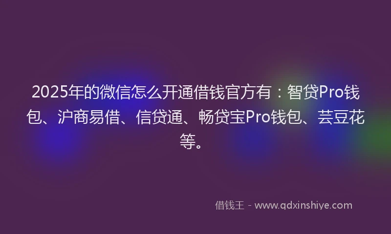 2025年的微信怎么开通借钱官方有：智贷Pro钱包、沪商易借、信贷通、畅贷宝Pro钱包、芸豆花等。