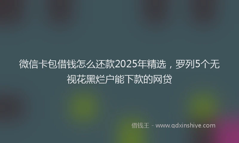 微信卡包借钱怎么还款2025年精选，罗列5个无视花黑烂户能下款的网贷