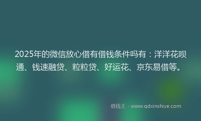 2025年的微信放心借有借钱条件吗有：洋洋花呗通、钱速融贷、粒粒贷、好运花、京东易借等。