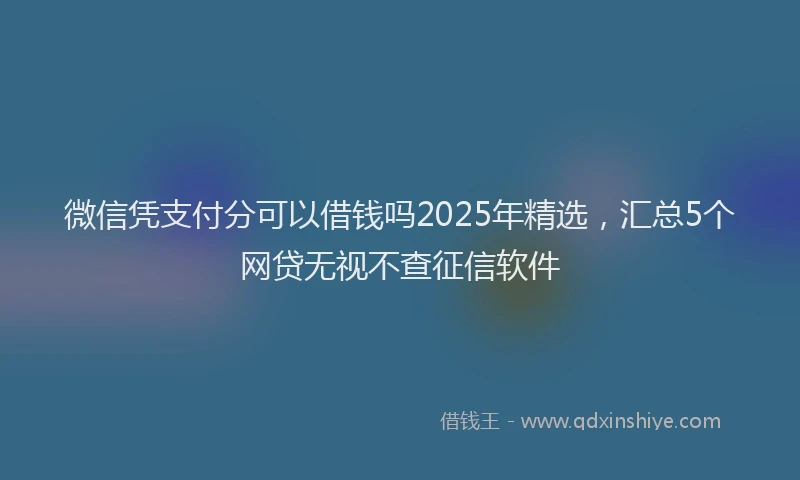 微信凭支付分可以借钱吗2025年精选，汇总5个网贷无视不查征信软件
