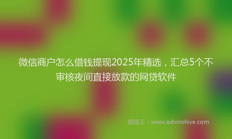 微信商户怎么借钱提现2025年精选，汇总5个不审核夜间直接放款的网贷软件