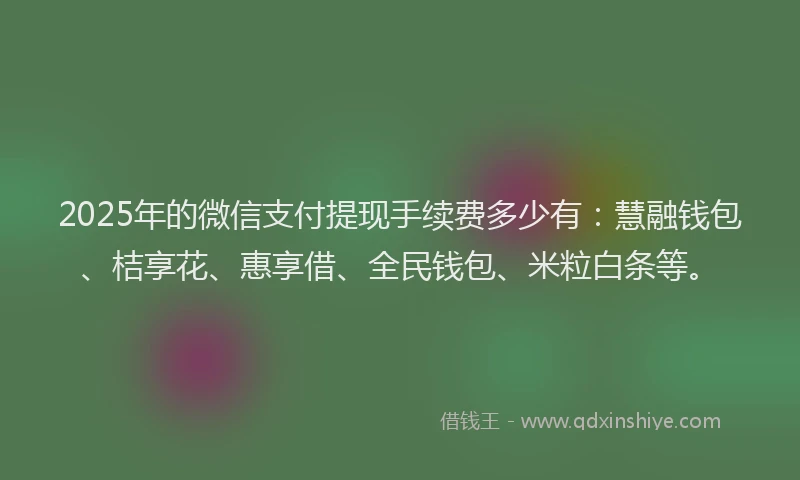 2025年的微信支付提现手续费多少有：慧融钱包、桔享花、惠享借、全民钱包、米粒白条等。