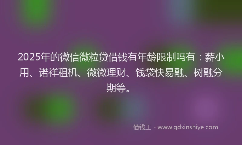 2025年的微信微粒贷借钱有年龄限制吗有：薪小用、诺祥租机、微微理财、钱袋快易融、树融分期等。