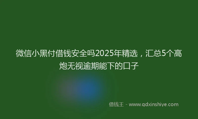 微信小黑付借钱安全吗2025年精选，汇总5个高炮无视逾期能下的口子