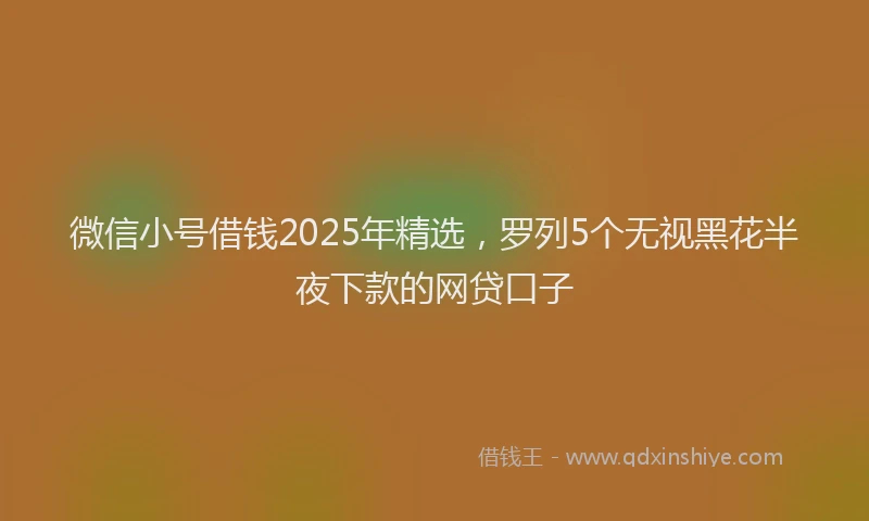 微信小号借钱2025年精选，罗列5个无视黑花半夜下款的网贷口子