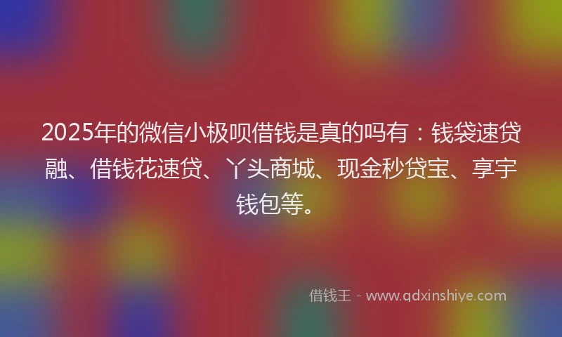 2025年的微信小极呗借钱是真的吗有：钱袋速贷融、借钱花速贷、丫头商城、现金秒贷宝、享宇钱包等。