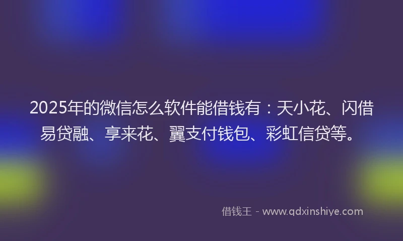 2025年的微信怎么软件能借钱有：天小花、闪借易贷融、享来花、翼支付钱包、彩虹信贷等。