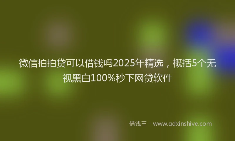 微信拍拍贷可以借钱吗2025年精选，概括5个无视黑白100%秒下网贷软件