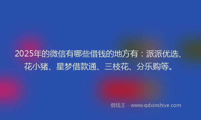 2025年的微信有哪些借钱的地方有：派派优选、花小猪、星梦借款通、三枝花、分乐购等。