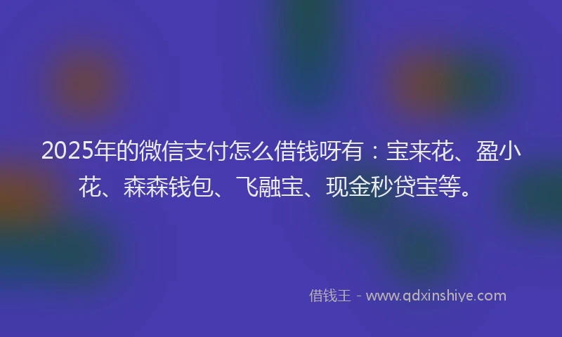 2025年的微信支付怎么借钱呀有：宝来花、盈小花、森森钱包、飞融宝、现金秒贷宝等。