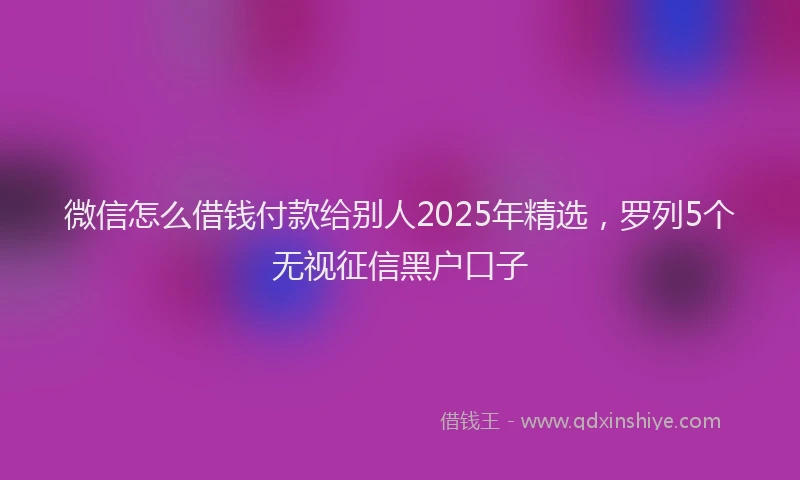 微信怎么借钱付款给别人2025年精选，罗列5个无视征信黑户口子