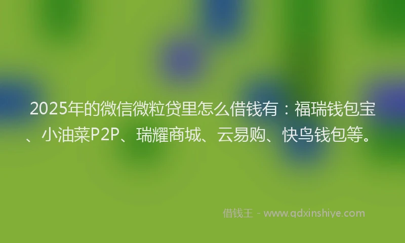 2025年的微信微粒贷里怎么借钱有：福瑞钱包宝、小油菜P2P、瑞耀商城、云易购、快鸟钱包等。