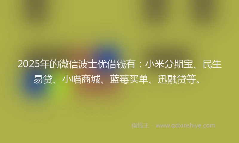 2025年的微信波士优借钱有：小米分期宝、民生易贷、小喵商城、蓝莓买单、迅融贷等。