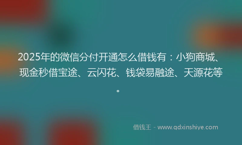 2025年的微信分付开通怎么借钱有：小狗商城、现金秒借宝途、云闪花、钱袋易融途、天源花等。