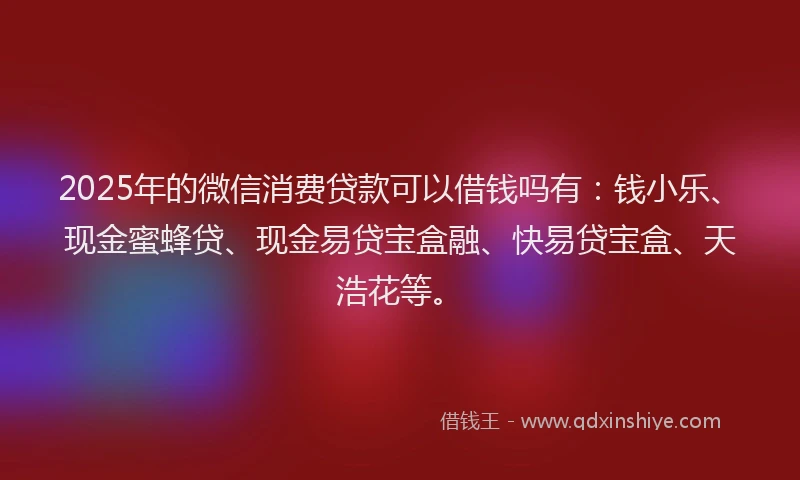 2025年的微信消费贷款可以借钱吗有：钱小乐、现金蜜蜂贷、现金易贷宝盒融、快易贷宝盒、天浩花等。