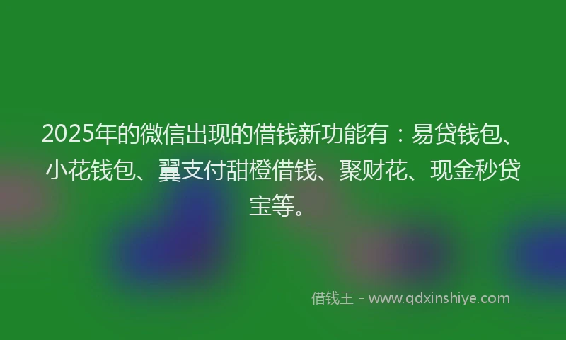 2025年的微信出现的借钱新功能有：易贷钱包、小花钱包、翼支付甜橙借钱、聚财花、现金秒贷宝等。