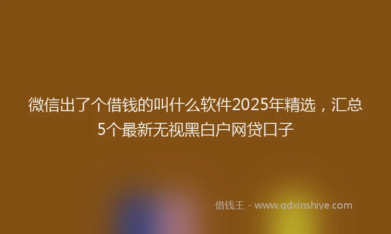 微信出了个借钱的叫什么软件2025年精选，汇总5个最新无视黑白户网贷口子