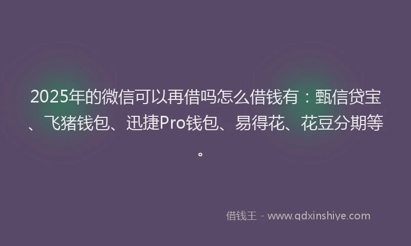 2025年的微信可以再借吗怎么借钱有：甄信贷宝、飞猪钱包、迅捷Pro钱包、易得花、花豆分期等。
