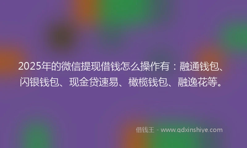 2025年的微信提现借钱怎么操作有：融通钱包、闪银钱包、现金贷速易、橄榄钱包、融逸花等。
