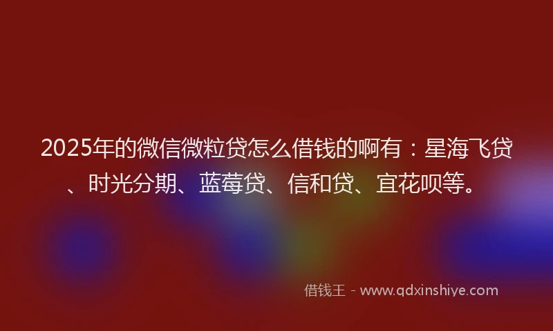 2025年的微信微粒贷怎么借钱的啊有：星海飞贷、时光分期、蓝莓贷、信和贷、宜花呗等。