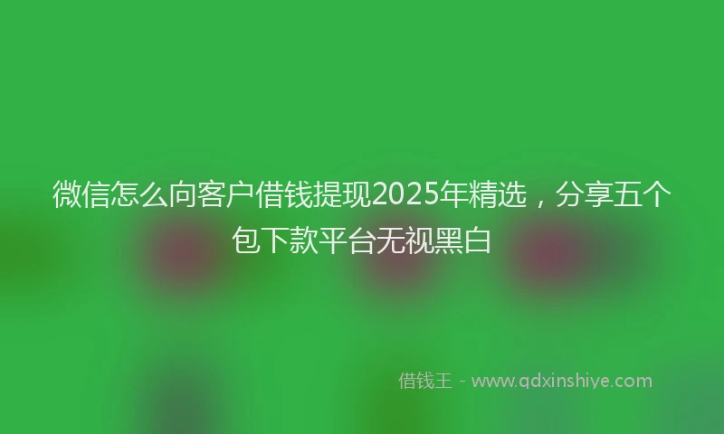 微信怎么向客户借钱提现2025年精选，分享五个包下款平台无视黑白
