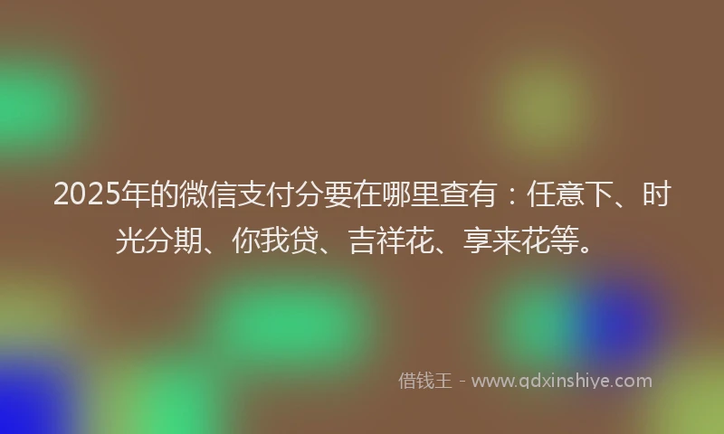 2025年的微信支付分要在哪里查有：任意下、时光分期、你我贷、吉祥花、享来花等。