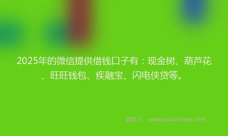 2025年的微信提供借钱口子有：现金树、葫芦花、旺旺钱包、疾融宝、闪电侠贷等。