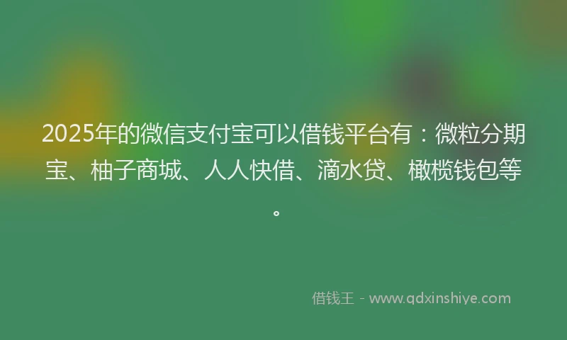 2025年的微信支付宝可以借钱平台有：微粒分期宝、柚子商城、人人快借、滴水贷、橄榄钱包等。
