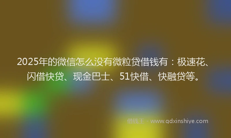 2025年的微信怎么没有微粒贷借钱有：极速花、闪借快贷、现金巴士、51快借、快融贷等。