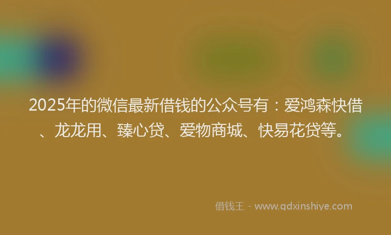 2025年的微信最新借钱的公众号有：爱鸿森快借、龙龙用、臻心贷、爱物商城、快易花贷等。
