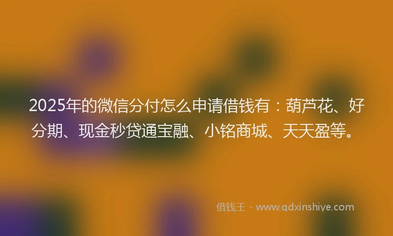 2025年的微信分付怎么申请借钱有：葫芦花、好分期、现金秒贷通宝融、小铭商城、天天盈等。
