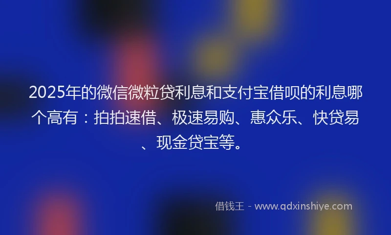 2025年的微信微粒贷利息和支付宝借呗的利息哪个高有：拍拍速借、极速易购、惠众乐、快贷易、现金贷宝等。