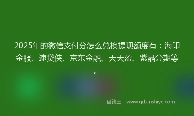 2025年的微信支付分怎么兑换提现额度有：海印金服、速贷侠、京东金融、天天盈、紫晶分期等。