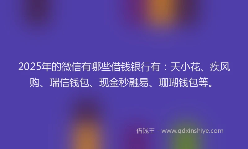 2025年的微信有哪些借钱银行有：天小花、疾风购、瑞信钱包、现金秒融易、珊瑚钱包等。