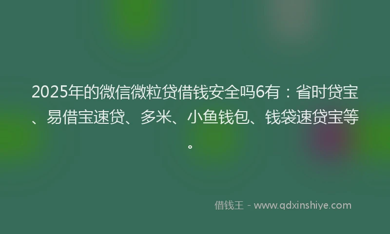 2025年的微信微粒贷借钱安全吗6有：省时贷宝、易借宝速贷、多米、小鱼钱包、钱袋速贷宝等。