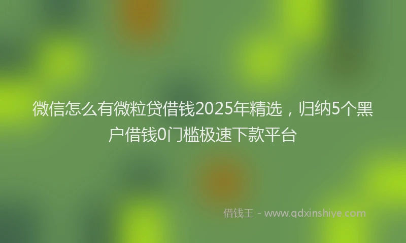 微信怎么有微粒贷借钱2025年精选，归纳5个黑户借钱0门槛极速下款平台
