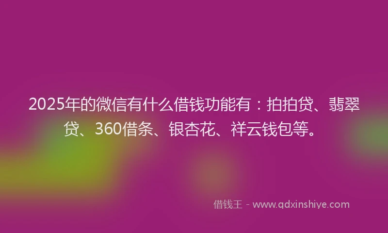2025年的微信有什么借钱功能有：拍拍贷、翡翠贷、360借条、银杏花、祥云钱包等。