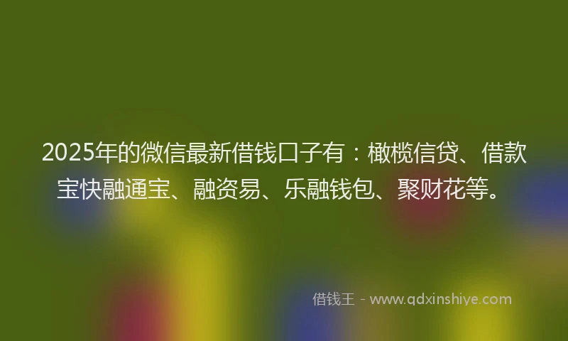 2025年的微信最新借钱口子有：橄榄信贷、借款宝快融通宝、融资易、乐融钱包、聚财花等。