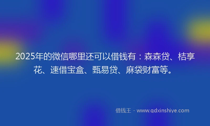 2025年的微信哪里还可以借钱有：森森贷、桔享花、速借宝盒、甄易贷、麻袋财富等。