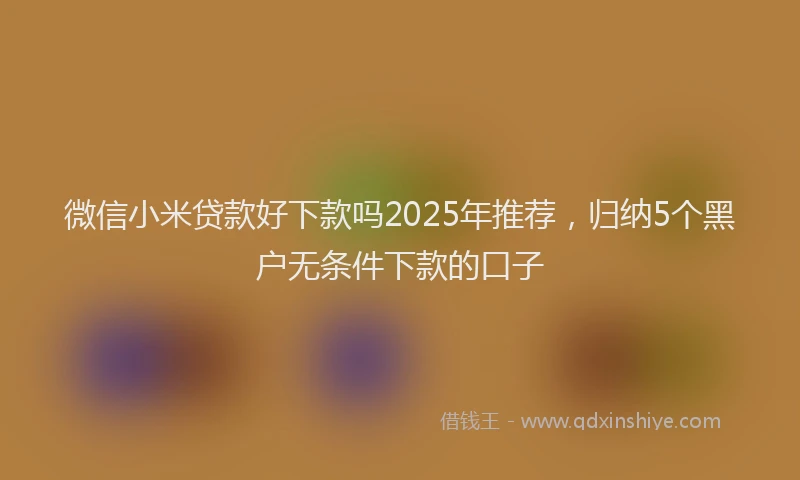 微信小米贷款好下款吗2025年推荐，归纳5个黑户无条件下款的口子