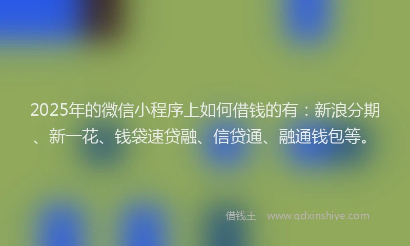 2025年的微信小程序上如何借钱的有：新浪分期、新一花、钱袋速贷融、信贷通、融通钱包等。