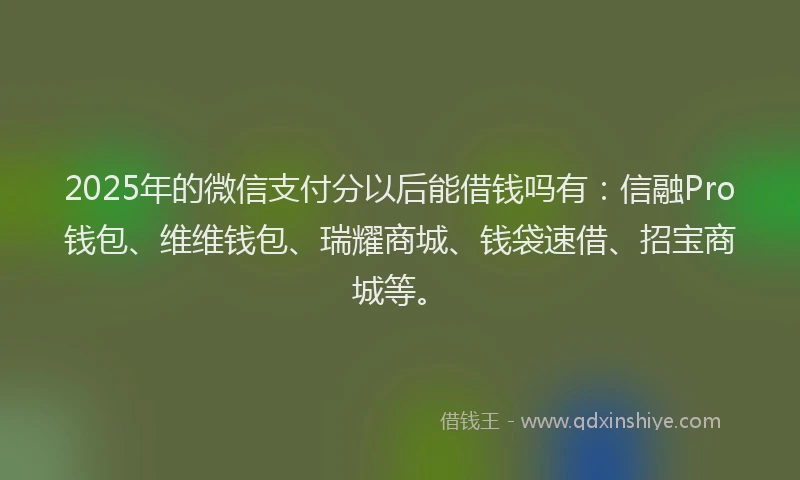 2025年的微信支付分以后能借钱吗有：信融Pro钱包、维维钱包、瑞耀商城、钱袋速借、招宝商城等。