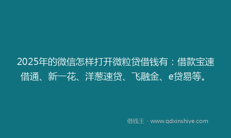 2025年的微信怎样打开微粒贷借钱有：借款宝速借通、新一花、洋葱速贷、飞融金、e贷易等。