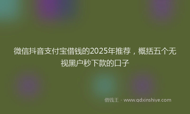 微信抖音支付宝借钱的2025年推荐，概括五个无视黑户秒下款的口子