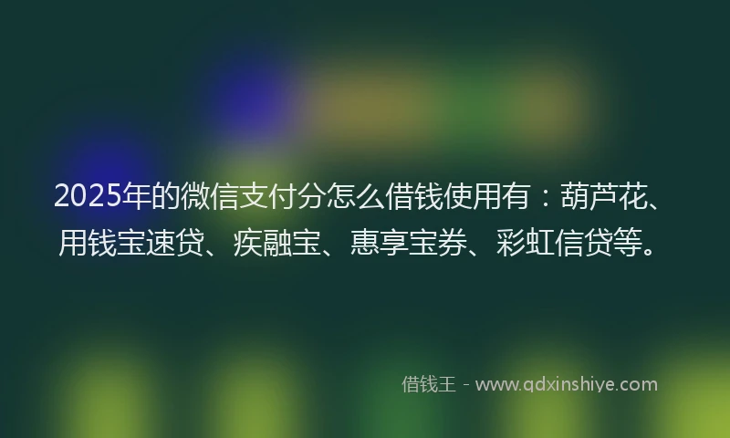 2025年的微信支付分怎么借钱使用有：葫芦花、用钱宝速贷、疾融宝、惠享宝券、彩虹信贷等。