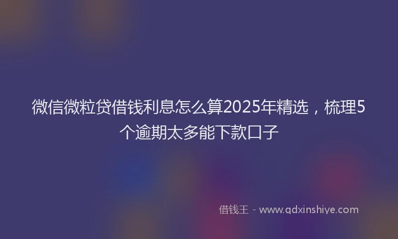 微信微粒贷借钱利息怎么算2025年精选，梳理5个逾期太多能下款口子